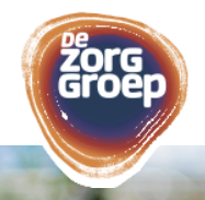 De Zorggroep 