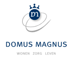 Domus Magnus de Uylenburgh Vrijwilliger Welzijn