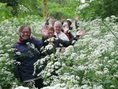 Gezond Natuur Wandelen Vrijwilligerskans bij gezellige wandelgroepen.