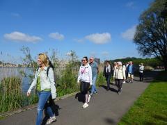 Gezond Natuur Wandelen Vrijwilligerskans bij gezellige wandelgroepen.