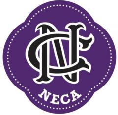 Korfbalvereniging NeCa Trainer/coach van een jeugdteam KV NeCa