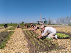 Land in Zicht Tuinier