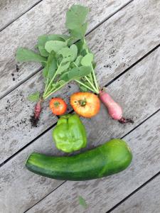 Oktober Vrijwilliger moestuin