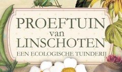 Proeftuin van Linschoten Vrijwilligen op Kleinschalige Ecologische Tuinderij