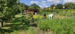 Proeftuin van Linschoten
