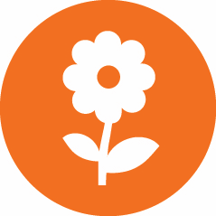Sint Jacob Vrijwilliger bloemschikken