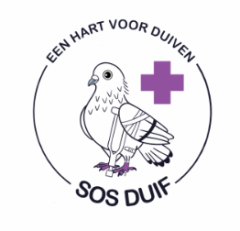 SOS Duif  Vrijwilliger juridisch medewerker