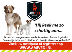 Stichting Amivedi Stichting Amivedi zoekt een coördinator PR en Communicatie