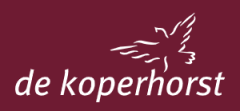 Stichting de Koperhorst  Begeleiders/rolstoelduwers gezocht voor uitje in Zutphen