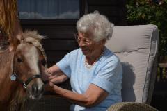 Stichting Ka's Therapiepaardjes Paardenliefhebber met een groot hart