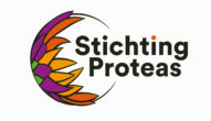 Stichting Proteas Begeleider Online Inclusieve Kinderboekenclub